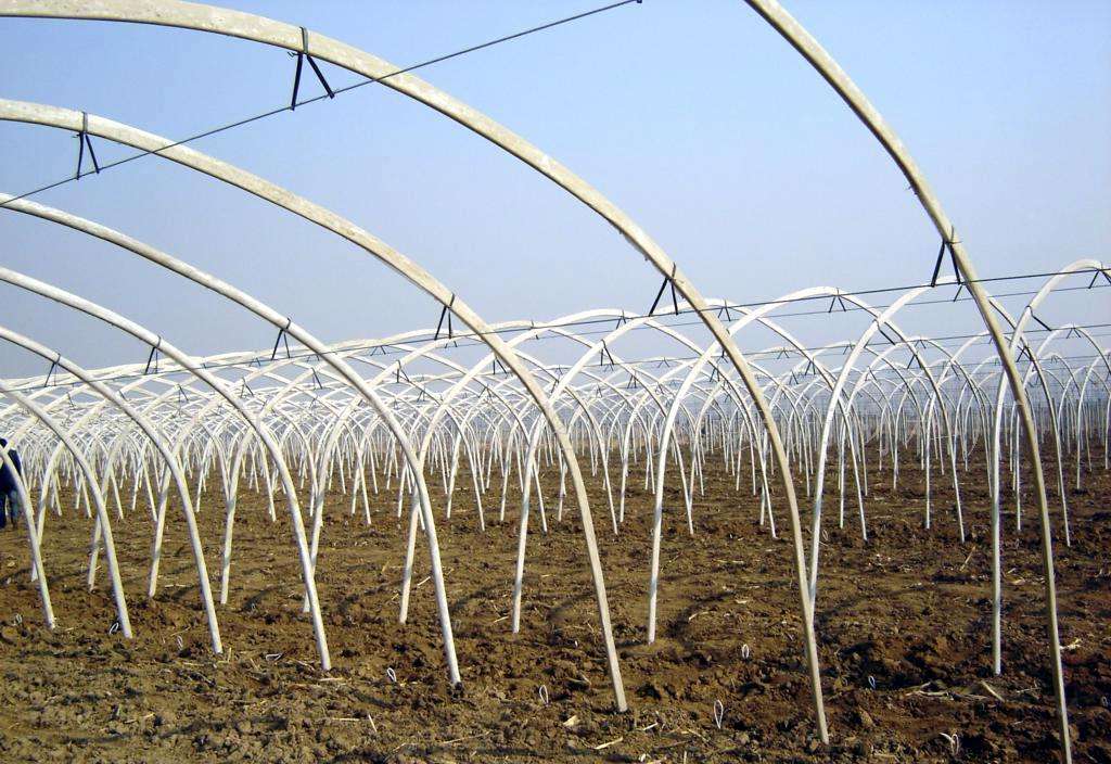 短期內(nèi)大棚骨架價格或弱勢盤整運行