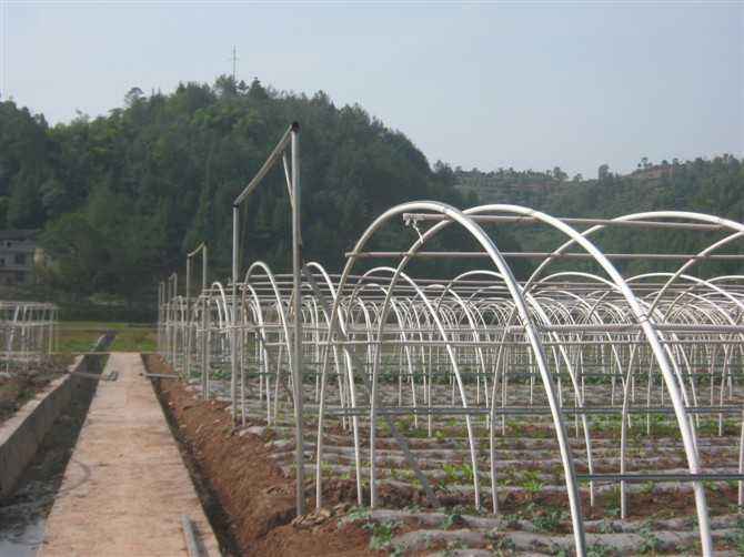 大棚骨架及下游需求相對較弱影響